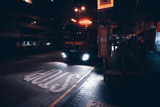 开云·体育官网APP下载-女子3x3项目加入更多城市站，引爆街头篮球热潮，街头篮球女子3的特殊角色